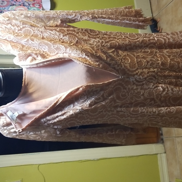 Champagne color lace dress back zipper Sz ( S ) - Picture 5 of 7